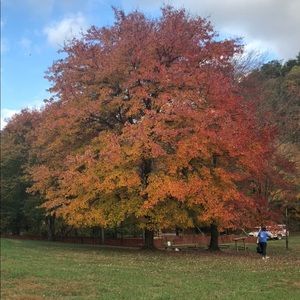 Meet your Posher, Georges